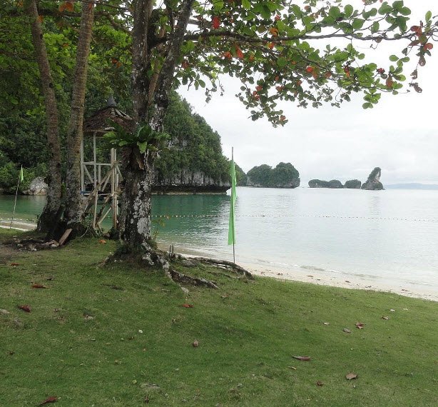 Marine Park, Philippines , Philippines